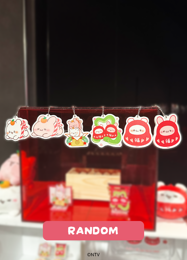 らぶいーず トレーディングラバーマスコット